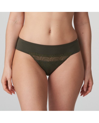 PRIMA DONNA string sophora kaki PRIMA DONNA String